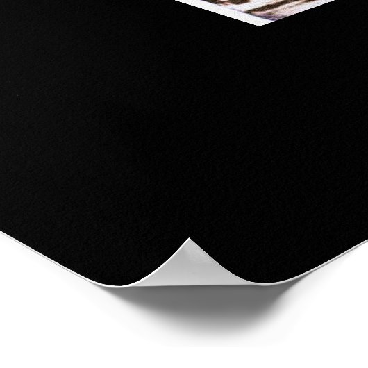 Poster Mexico 1946 (Coin)