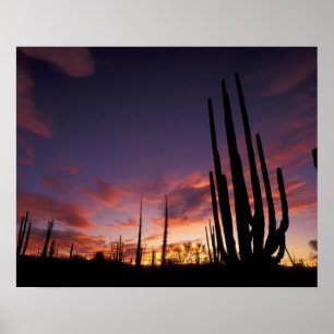 Poster Mexique, Baja del Norte, Catavina Desert National