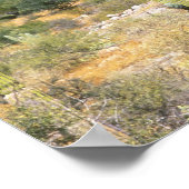 Poster Mexique, Basse Californie du Sud, Cardon Cactus à (Coin)