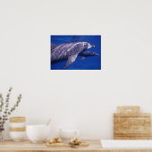 Poster Mexique, Cozumel. Dauphin en bouteille, Tursiops 2 (Cuisine)