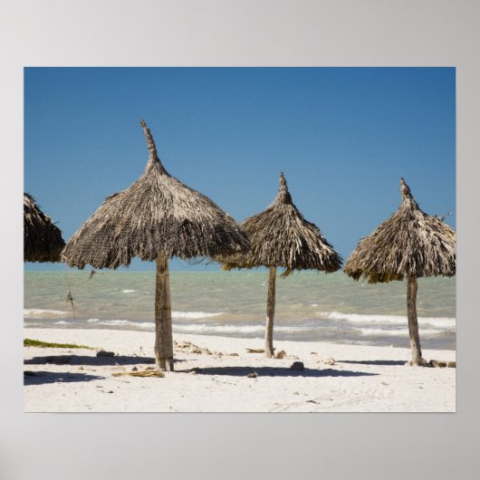 Poster Mexique, péninsule du Yucatan, Progreso. Chaume (Devant)
