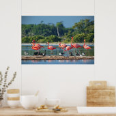 Poster Mexique Rio Lagartos (Cuisine)