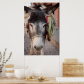 Poster Mexique, San Miguel De Allende (Cuisine)