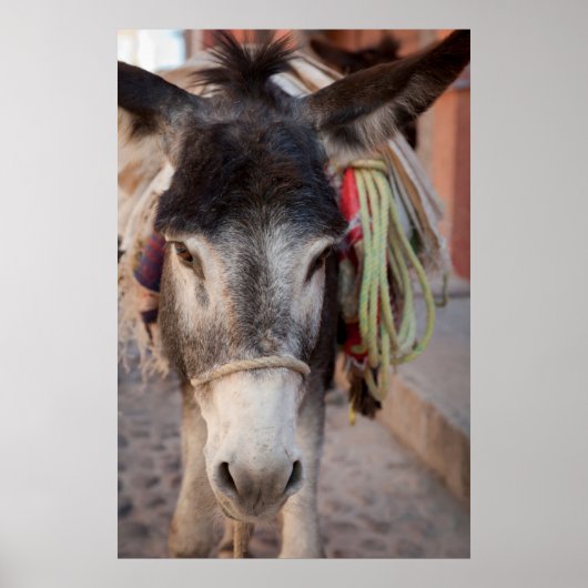 Poster Mexique, San Miguel De Allende (Devant)