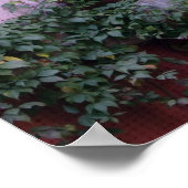 Poster Mexique, San Miguel de Allende, Ivy, pot d'argile, (Coin)