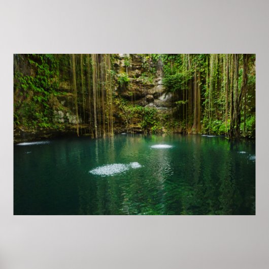 Poster Mexique, Yucatan, Lac Pittoresque (Devant)