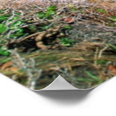 Poster Mexique, Yucatan, Péninsule, Ruines De Tulum, Maya (Coin)