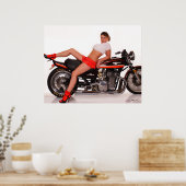 Poster _MG_7804a Cassie et le Z1 (Cuisine)