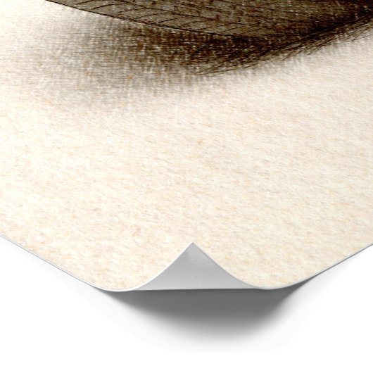 Poster MG MGB MkII (Coin)