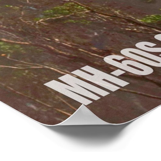 POSTER MH-60S SEAHAWK (Coin)