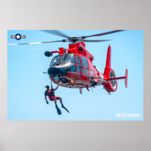 POSTER MH-65D DAUPHIN