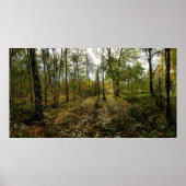 Poster Mi-automne, (Devant)