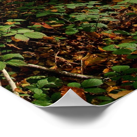 Poster Mi-automne, (Coin)