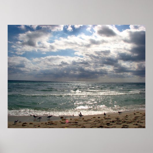 Poster Miami (Devant)