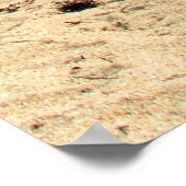 Poster Miami Beach (Coin)