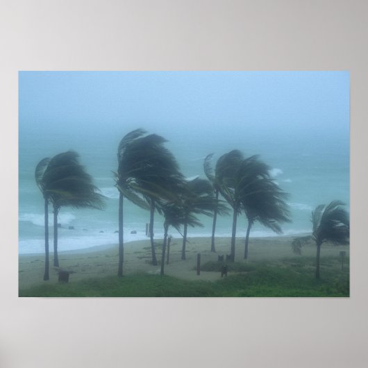 Poster Miami Beach, Floride, vents d'ouragan fouettant (Devant)