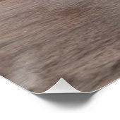 Poster Miami, Floride (Coin)