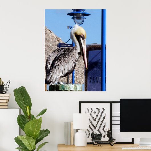 Poster Miami Pelican (Bureau à domicile)