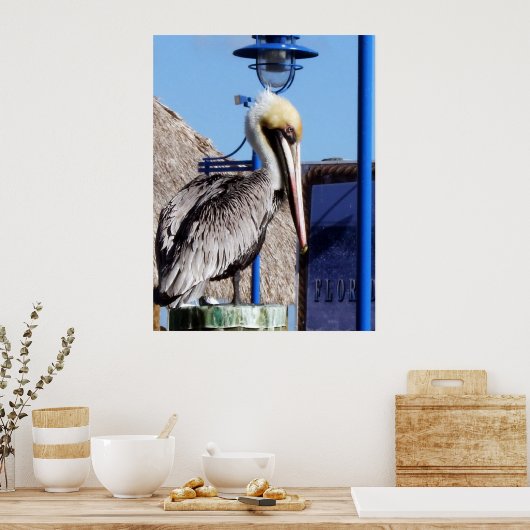 Poster Miami Pelican (Cuisine)