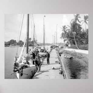 Poster Miami Sailboats, 1905