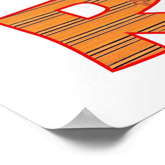 Poster MICE RULE (Coin)