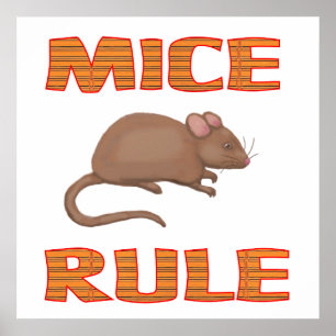 Poster MICE RULE