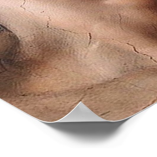 Poster Michelangelo Création Adam Dieu Art (Coin)