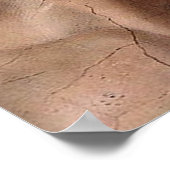 Poster Michelangelo Création Adam Dieu Art (Coin)