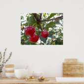 Poster Michigan Cherries (Cuisine)