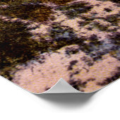 Poster Michigan City Indiana Sheridan Beach, vers 1910 (Coin)