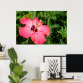 Poster Michigan, décarborn. Détail de Pink Hibiscus (Bureau à domicile)