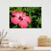 Poster Michigan, décarborn. Détail de Pink Hibiscus (Cuisine)