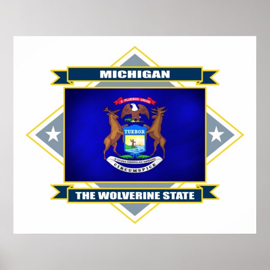 Poster Michigan Diamond (Devant)