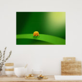 Poster Micro Animaux - Eléphant (Cuisine)