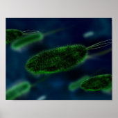 Poster Microbes bactéries (Devant)
