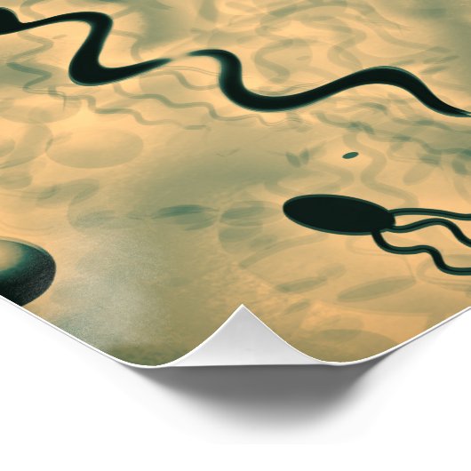 Poster Microbes microscopiques (Coin)