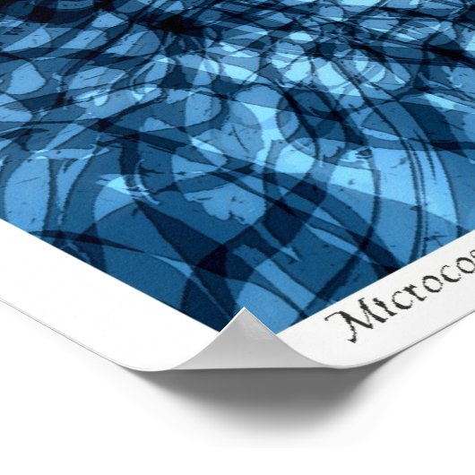 Poster Microcosme (Coin)