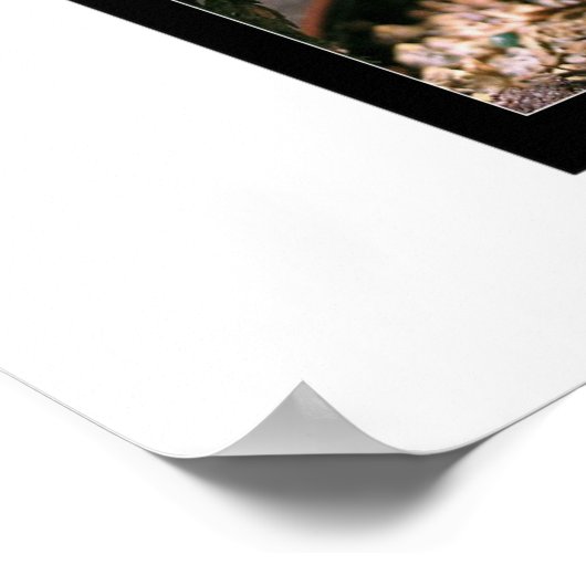 Poster Microcosme (Coin)