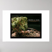 Poster Microcosme (Devant)