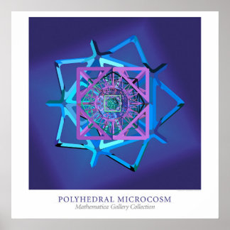 Poster Microcosme polyédrique