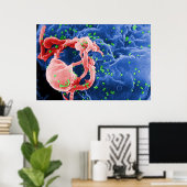 Poster Micrographe électronique de la lymphocyte de Buddi (Bureau à domicile)