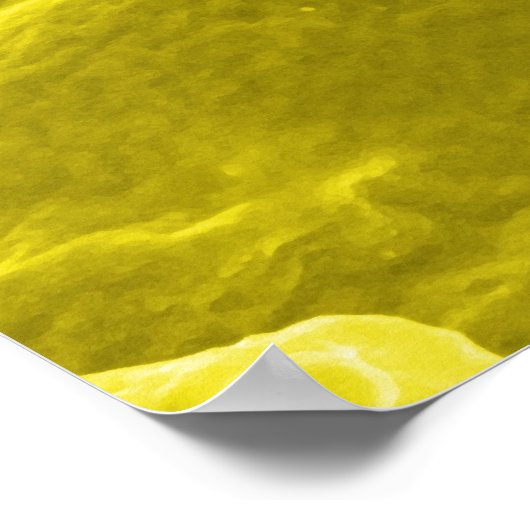 Poster Micrographe électronique montrant Salmonella Typhi (Coin)
