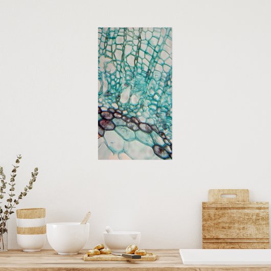 Poster micrographie des cellules plantes (Cuisine)