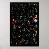 Poster Microgreens (Devant)