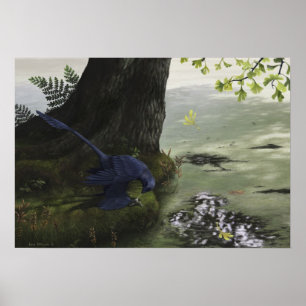 Poster Microraptor Piscivy