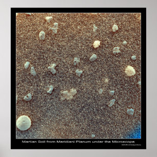 Poster Microscopic View of Martian Soil