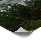 Poster Middlebury Falls à Middlebury, Vermont (Coin)