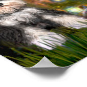 Poster MidEve - Schnauzer (B) (Coin)