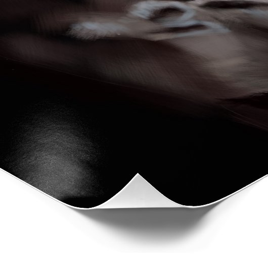 Poster Midnight (Coin)