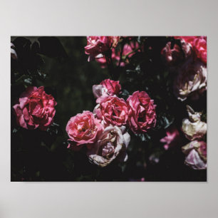Poster Midnight garden, dark floral art